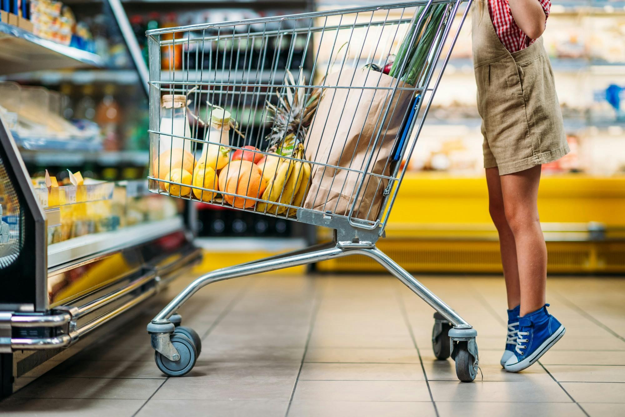 kid with a grocery pushcart