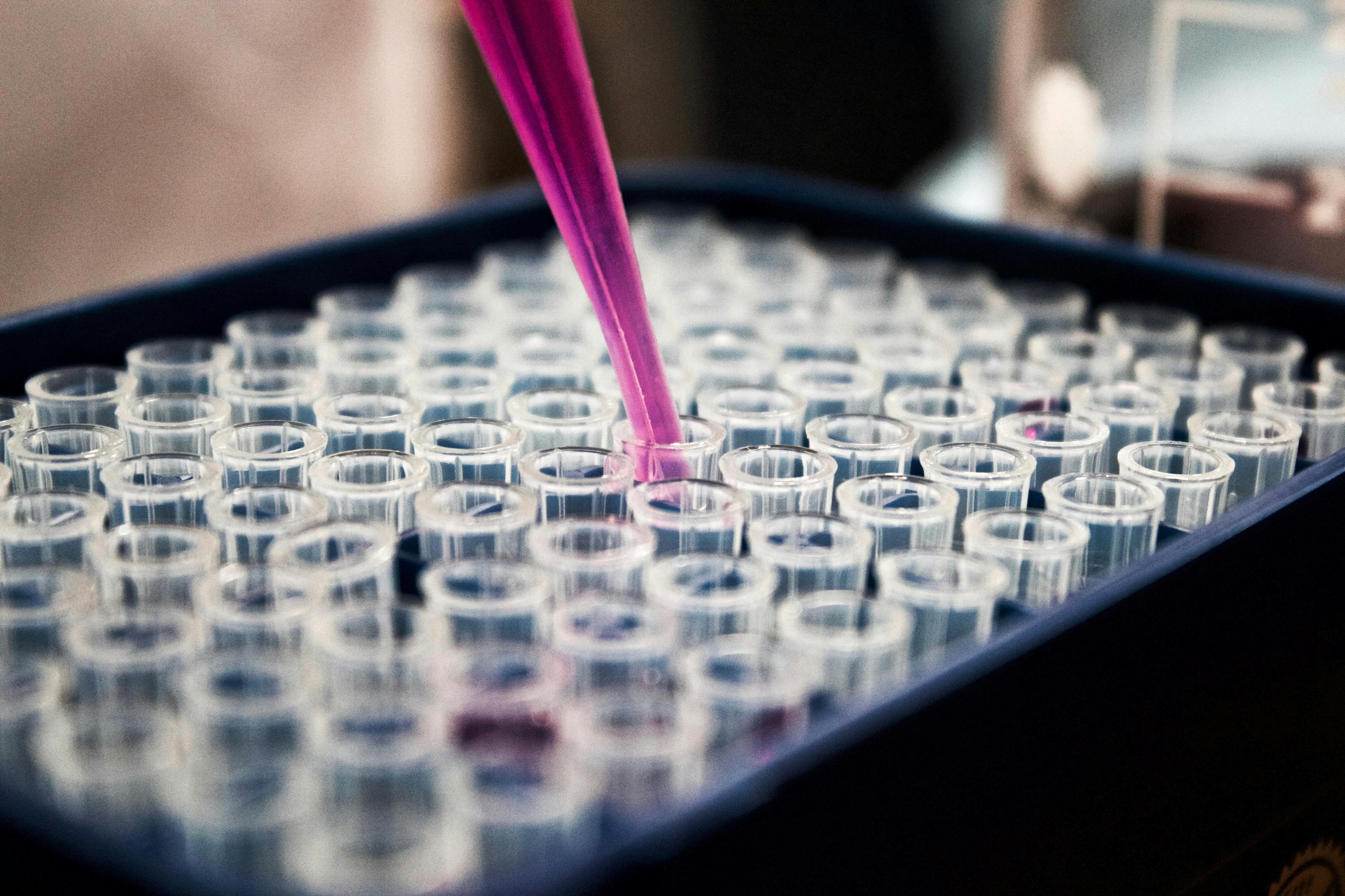 pink liquid dropped into tubes