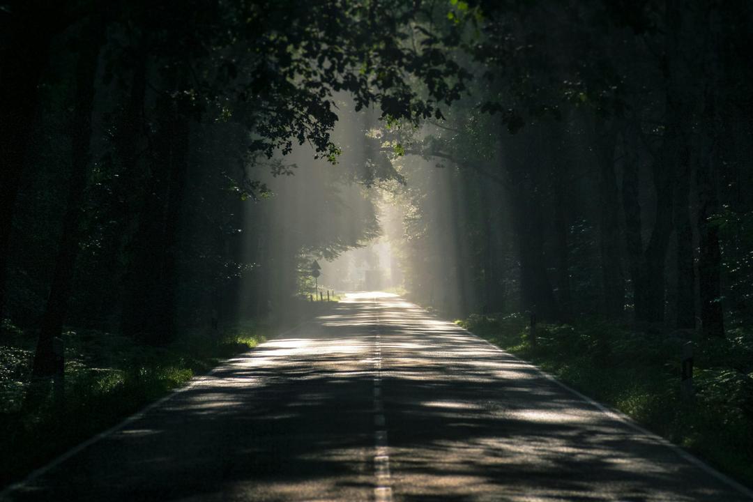 forest road